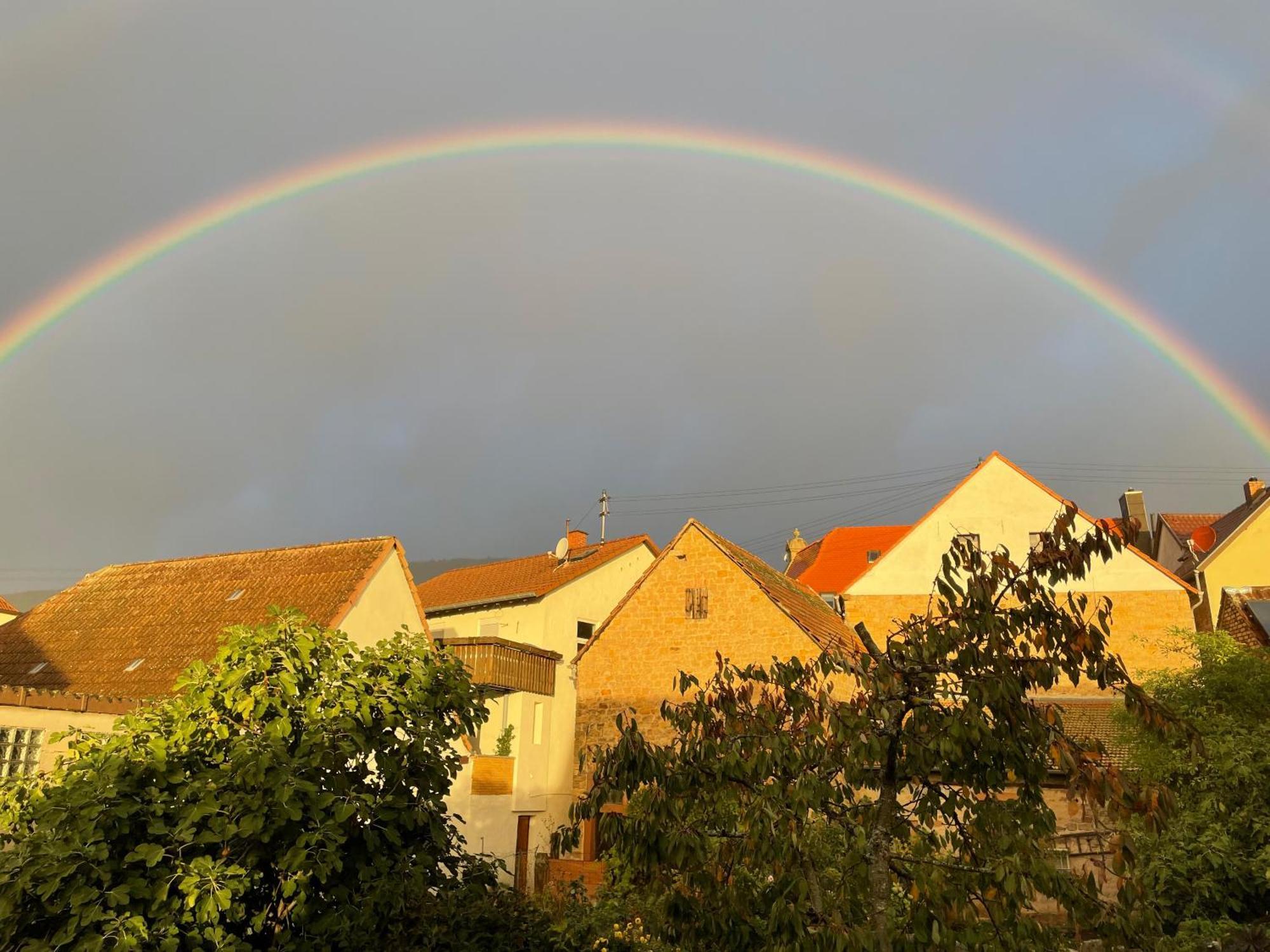 Pfalz-Dorfhaus Burrweiler Zewnętrze zdjęcie