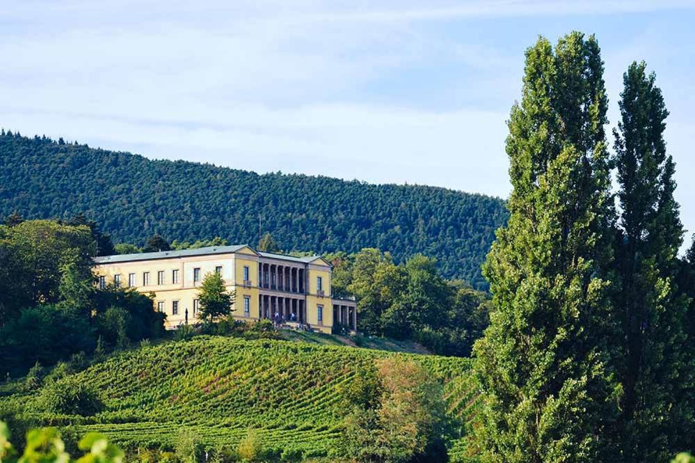 Pfalz-Dorfhaus Burrweiler Zewnętrze zdjęcie
